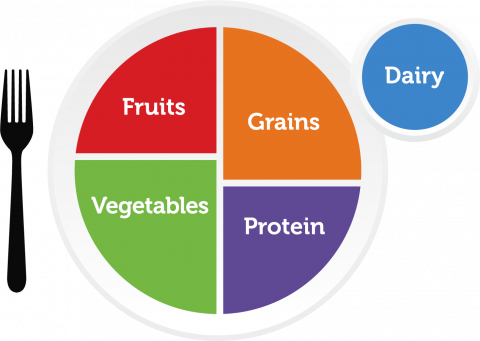 El gráfico de MyPlate muestra un plato dividido en cuatro secciones etiquetadas como Frutas, Verduras, Cereales y Proteína, con un círculo separado etiquetado como Lácteos al lado.